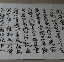 :鷨ƷͶ