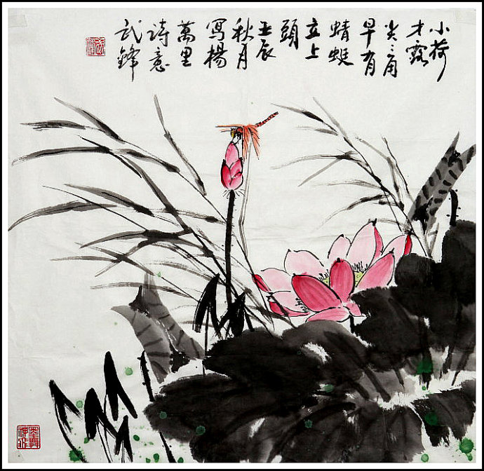武锋国画：小荷才露尖尖角 早有蜻蜓立上头