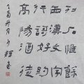 ٻ鷨Ʒ