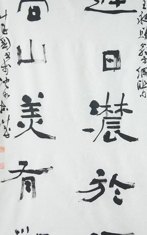 ɹ鷨Ʒչ