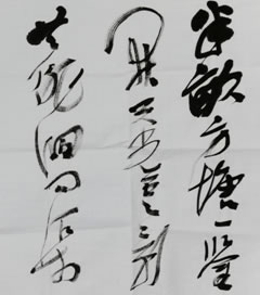 ڣ鷨ƷͶ