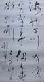 «鷨Ʒ