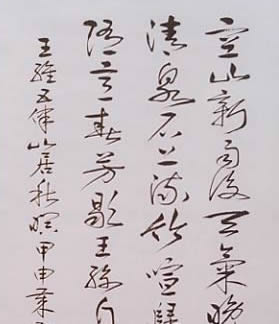 ̷磺鷨ƷͶ