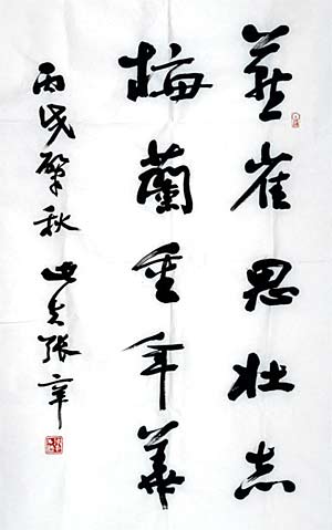 张辛:书法作品欣赏