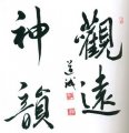 ŵ:鷨ƷͶ