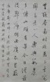 Բ鷨Ʒ