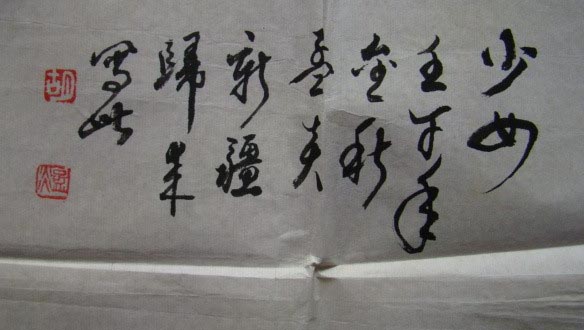 胡孟炎：书法作品欣赏