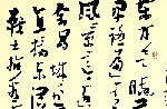 ೼鷨Ʒ