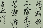 Ҷ鷨Ʒ