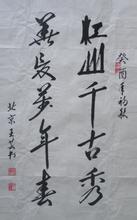 王芸书法作品欣赏