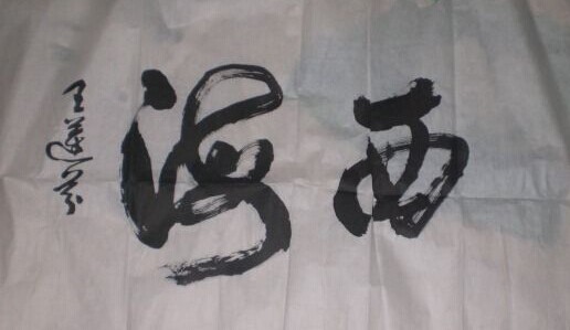 王莲芬书法作品欣赏