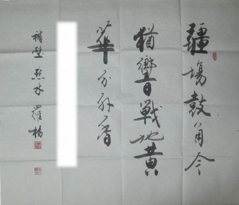 罗扬书法作品欣赏