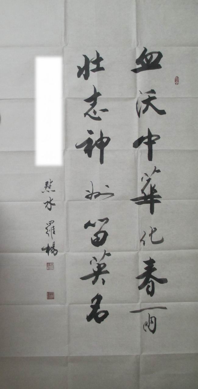 罗扬书法作品欣赏