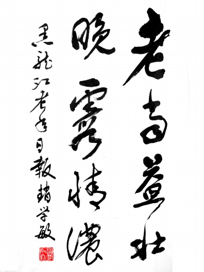 赵学敏书法作品欣赏
