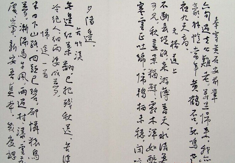 刘新德书法作品欣赏