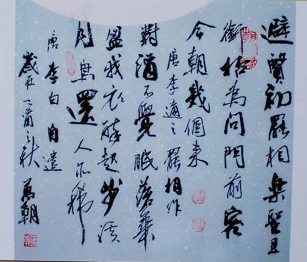 王万朝书法作品欣赏