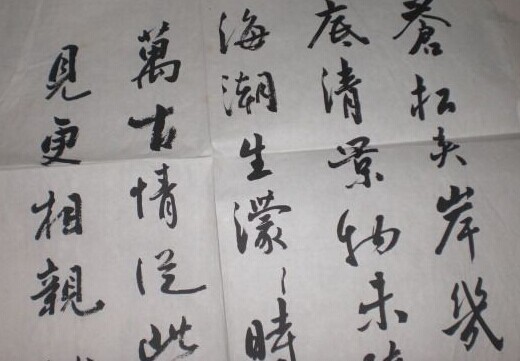 柴岩柏书法作品欣赏