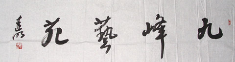 章建明书法作品欣赏