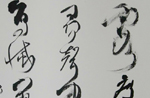 һ鷨Ʒ