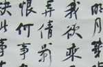鷨Ʒ