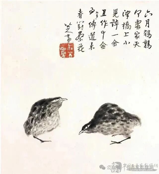 ͼƬ